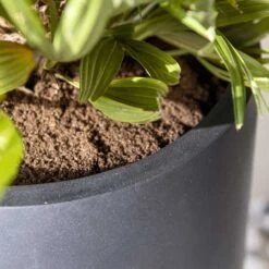 Nax Natural Tall Planter - Black 13 Nax Natural Tall Planter - Black -PlantVibe Shop Nax Natural Tall Planter Black 2