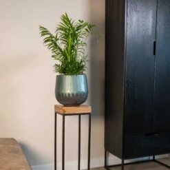 Ninthe Metal Plant Pot - Metallic Petrol 18 Ninthe Metal Plant Pot - Metallic Petrol -PlantVibe Shop Ninthe metallic green 01
