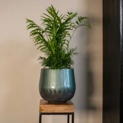 Ninthe Metal Plant Pot - Metallic Petrol 14 Ninthe Metal Plant Pot - Metallic Petrol -PlantVibe Shop Ninthe metallic green 02