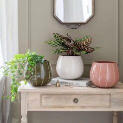 Nova Plant Pot - Rose 10 Nova Plant Pot - Rose -PlantVibe Shop Nova Plant Pot Rose 23 x 18cm 2 eb1a73b7 1750 4e29 836e 92ca9d8cc864