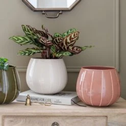 Nova Plant Pot - Rose 8 Nova Plant Pot - Rose -PlantVibe Shop Nova Plant Pot Rose 23 x 18cm 6f69093b d56e 46c7 94b7 24c715c1effc