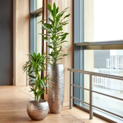 Opus Hammered Globe Planter - Silver -PlantVibe Shop Opus Hammered Globe Silver Opus Hammered Partner Silver