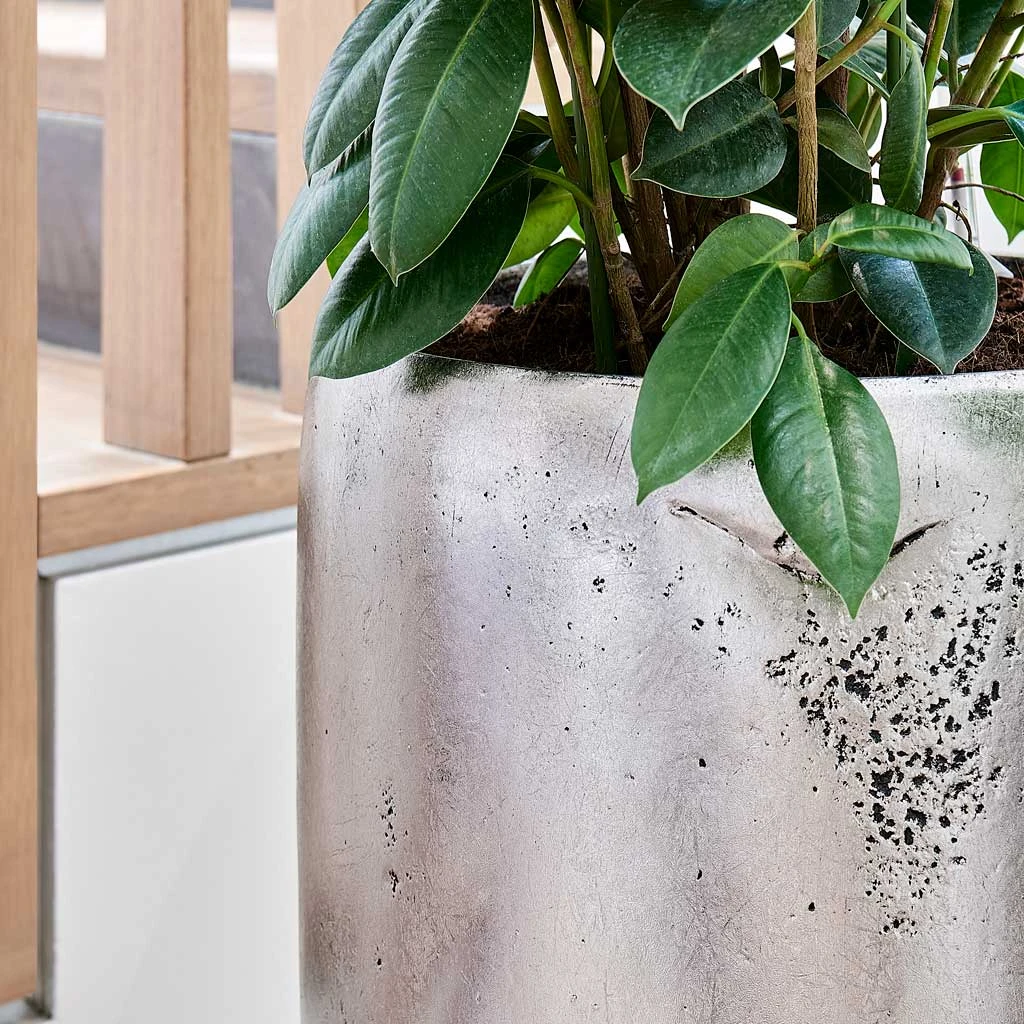 Opus Raw Partner Planter - Silver 5 Opus Raw Partner Planter - Silver - Image 5