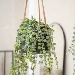 Patt Hanging Plant Pot - Black Washed 19 Patt Hanging Plant Pot - Black Washed -PlantVibe Shop Patt Hanging Plant Pot Black Washed Trailing Houseplant