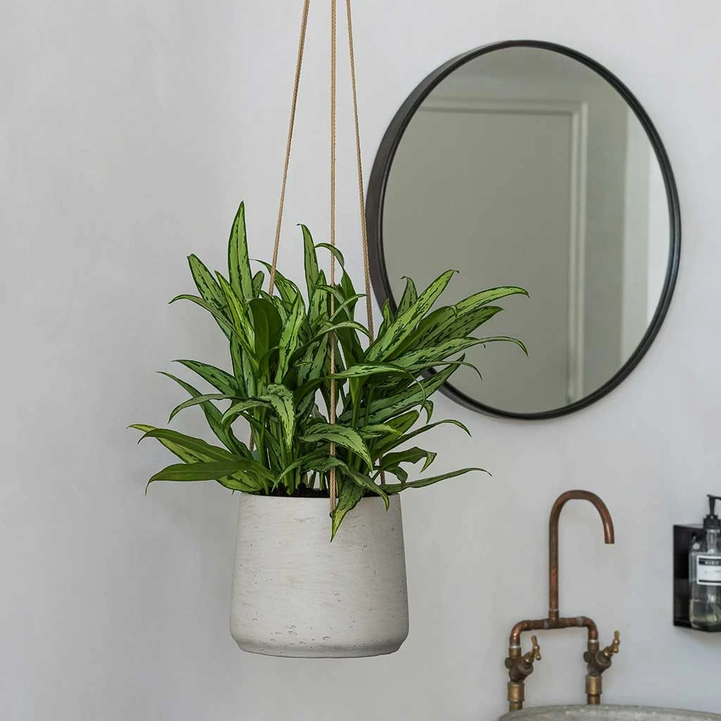 Patt Hanging Plant Pot - Grey Washed 7 Patt Hanging Plant Pot - Grey Washed - Image 7