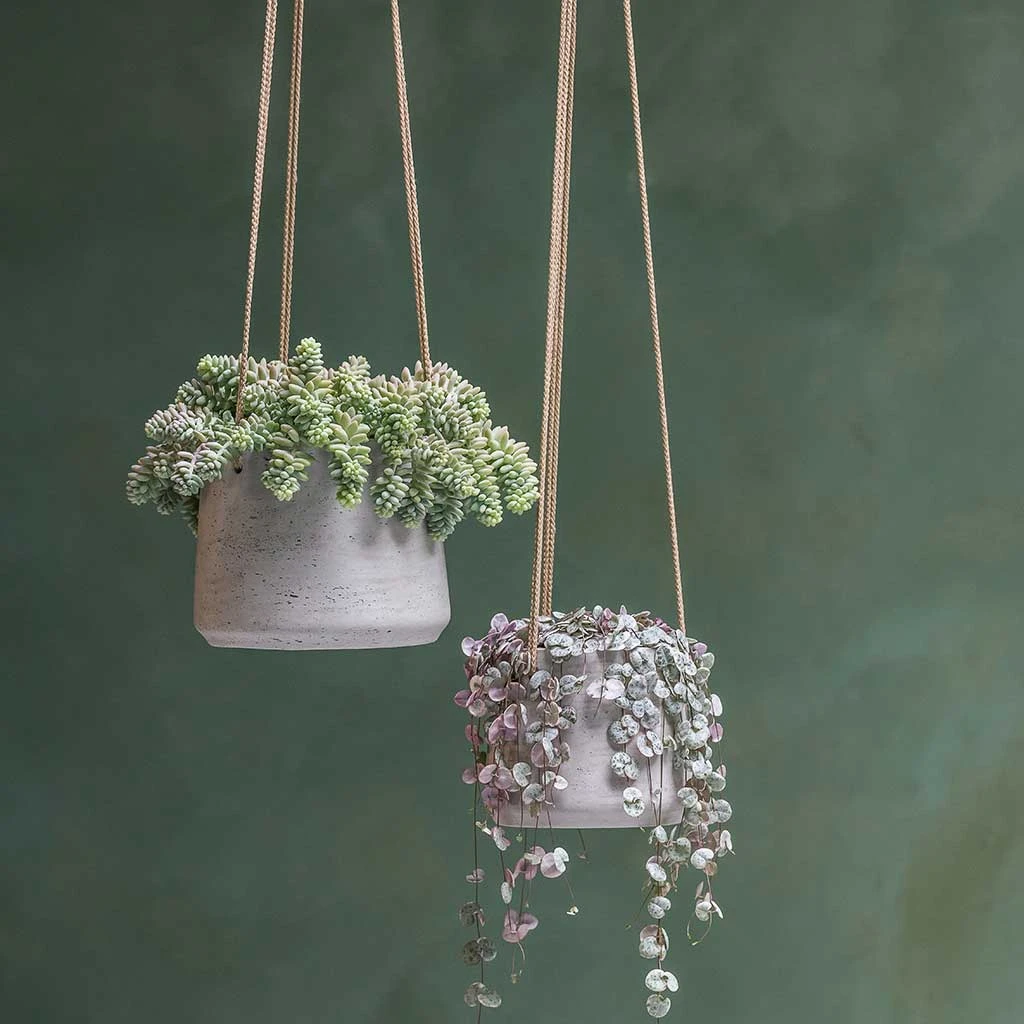 Patt Hanging Plant Pot - Grey Washed 2 Patt Hanging Plant Pot - Grey Washed - Image 2