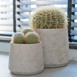 Patt Plant Pot - Grey Washed -PlantVibe Shop Patt Plant Pot Grey Washed Cacti