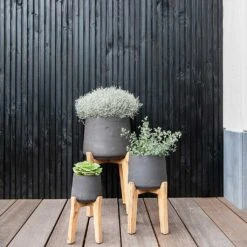Patt Plant Pot - Tall Stand - Black Washed -PlantVibe Shop Patt Plant Pot Tall Stand Black Washed Lifestyle 01