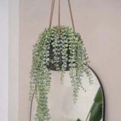 Patt Hanging Plant Pot - Black Washed 27 Patt Hanging Plant Pot - Black Washed -PlantVibe Shop PattHangingPlantPot BlackWashed 3