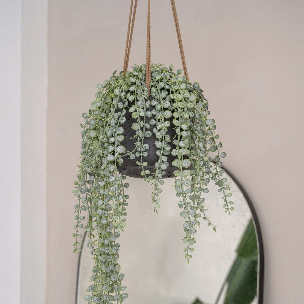 Patt Hanging Plant Pot - Black Washed 13 Patt Hanging Plant Pot - Black Washed - Image 13