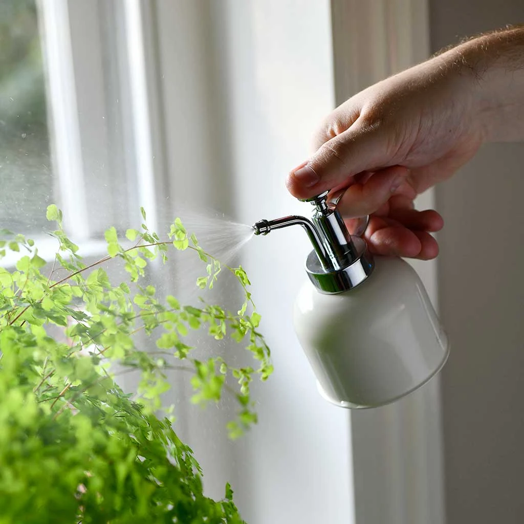 Indoor Plant Mister - Stone 3 Indoor Plant Mister - Stone - Image 3