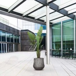 Polystone Coated Darcy Planter - Raw Grey 12 Polystone Coated Darcy Planter - Raw Grey -PlantVibe Shop Polystone Coated Darcy Planter Raw Grey LS1