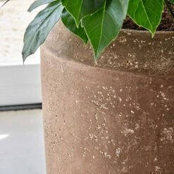 Polystone Coated Plain Coppa Planter - Rock -PlantVibe Shop Polystone Coated Plain Coppa Planter Rock 1