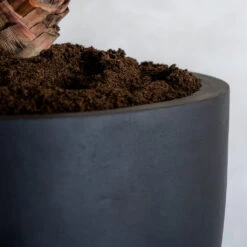 Jesslyn Natural Planter - Black -PlantVibe Shop ProductsJesslynNaturalPlanter Black 2