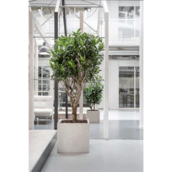 Raindrop Cube Planter - Stone -PlantVibe Shop Raindrop Cube Planter Stone Lifestyle