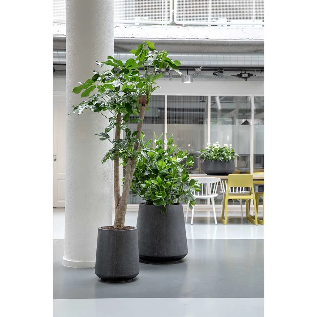 Raindrop Tube High Round Planter - Anthracite 3 Raindrop Tube High Round Planter - Anthracite - Image 3