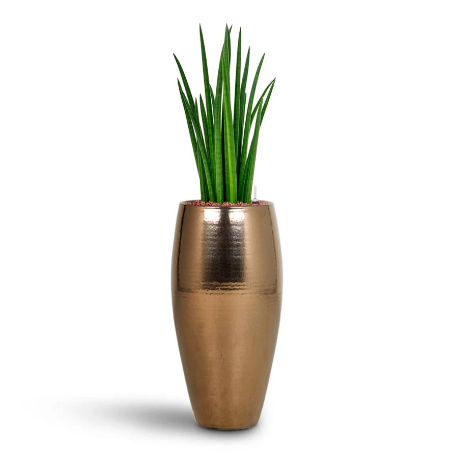 Amora Plant Vase - Black Gold 2 Amora Plant Vase - Black Gold - Image 2