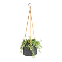 Patt Hanging Plant Pot - Black Washed 28 Patt Hanging Plant Pot - Black Washed -PlantVibe Shop Senecio peregrinus String of Dolphins 15x25cm Patt Hanging Plant Pot Black Washed 20x17cm 9dbfe7a9 3c90 4a77 a878 0073280b96dc