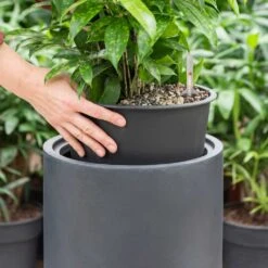 Solid Cylinder Planter - Dark Grey -PlantVibe Shop Solid Cylinder Planter Dark Grey 1
