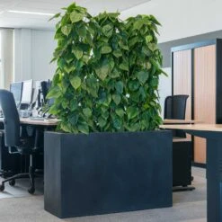 Solid Rectangle Planter - Dark Grey -PlantVibe Shop Solid Rectangle Planter Dark Grey 1