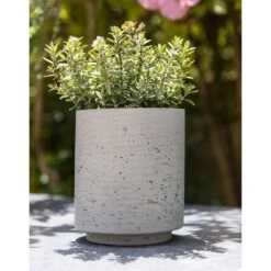 Suzi Plant Pot - Grey Washed -PlantVibe Shop Suzi Plant Pot Grey Washed Outdoor Plant