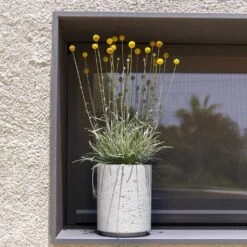 Suzi Plant Pot - Grey Washed -PlantVibe Shop Suzi Plant Pot Grey Washed Outdoor Plants