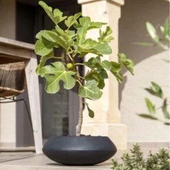 Tara Natural Bowl Planter - Black -PlantVibe Shop TaraNaturalPlanter Black 3