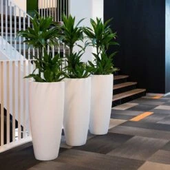 Dax Essentials Tall Planter - Matt White -PlantVibe Shop dax planter essential matte white open plan office