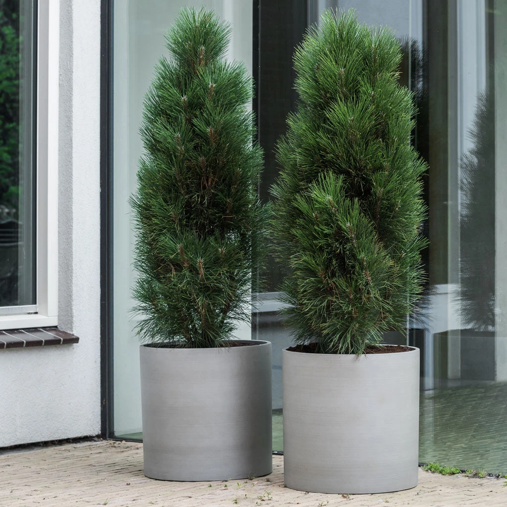 Max Refined Planter - Clouded Grey 2 Max Refined Planter - Clouded Grey - Image 2